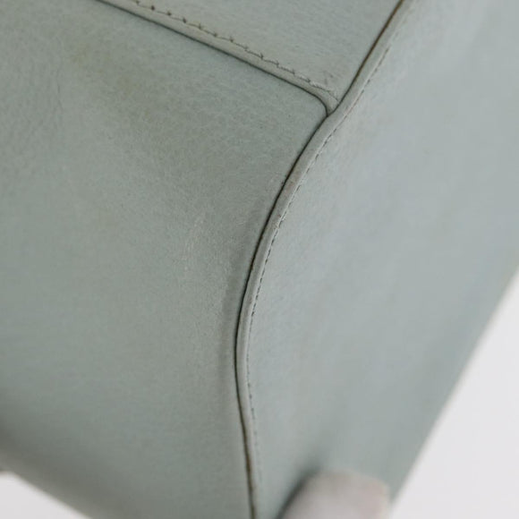 GUCCI Vanity Pouch Bag Leather Light Blue 039 2020 0710 Auth am10333