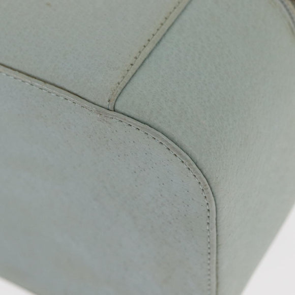 GUCCI Vanity Pouch Bag Leather Light Blue 039 2020 0710 Auth am10333