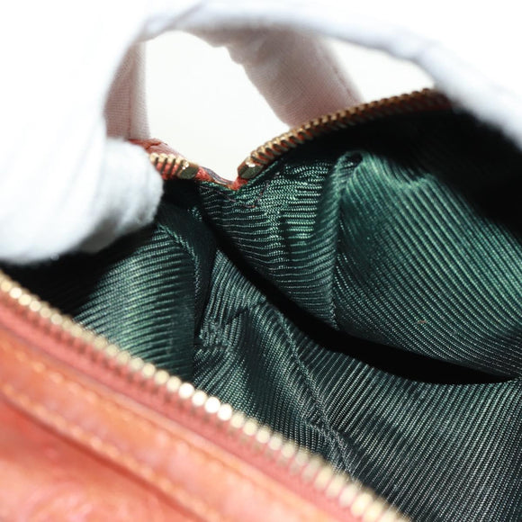 GUCCI GG Canvas Guccissima Pouch Leather Orange Gold 153228 Auth am10551V