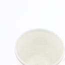 HERMES Schoendunkle Platinum Cup and Saucer Set of 2 Pottery Auth am10750SAV-30