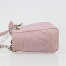 Christian Dior Lady Dior Cannage Plastic Handle Bag Nylon 2way Auth am11890A-5