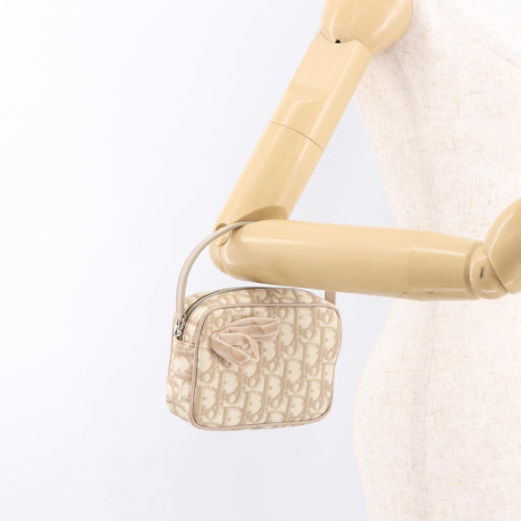 Christian Dior Trotter Canvas Romantic Hand Pouch PVC Beige Silver Auth am11980V