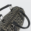 Christian Dior Trotter Canvas Hand Bag Navy Silver Auth am12033A-6