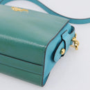 PRADA Shoulder Bag Safiano Leather Green Gold Auth am12262A-9