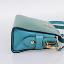 PRADA Shoulder Bag Safiano Leather Green Gold Auth am12262A-4
