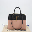 LOUIS VUITTON City Steamer MM Hand Bag Leather 2way Pink M53019 LV Auth am479b-29