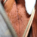 LOUIS VUITTON Monogram Jeune Fille PM Shoulder Bag M51227 LV Auth am5804-20