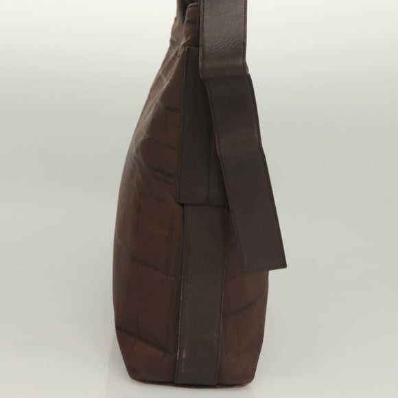 Salvatore Ferragamo Shoulder Bag Nylon Leather Brown Silver Auth am8722