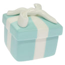 TIFFANY&Co. Blue box Pottery Blue Auth am8727-1