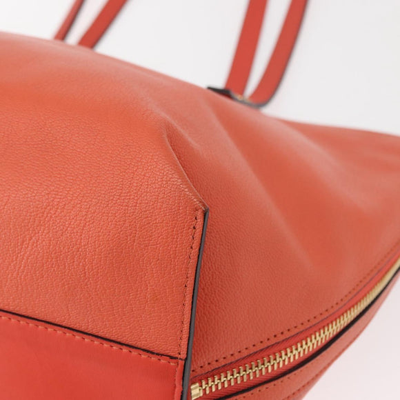 Chloe Dylan Tote Bag Leather Gold salmon pink Auth am9397
