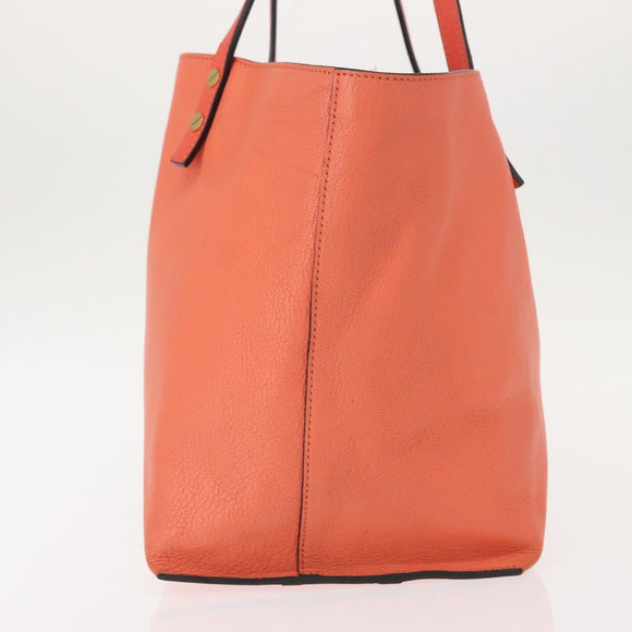 Chloe Dylan Tote Bag Leather Gold salmon pink Auth am9397