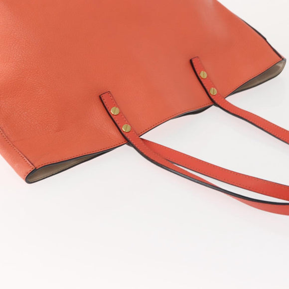 Chloe Dylan Tote Bag Leather Gold salmon pink Auth am9397