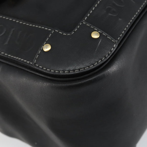 Chloe Eden Shoulder Bag Leather 2way Black Gold Auth am9425