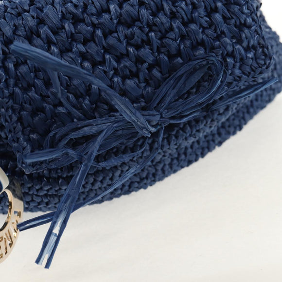 FENDI Hand Bag Straw Blue Gold Auth am9592V