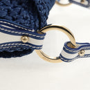 FENDI Hand Bag Straw Blue Gold Auth am9592V-8