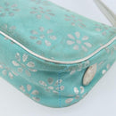 CELINE Accessory Pouch Suede Green Silver Auth AMZ035A-15