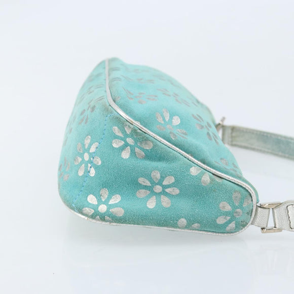 CELINE Accessory Pouch Suede Green Silver Auth AMZ035A