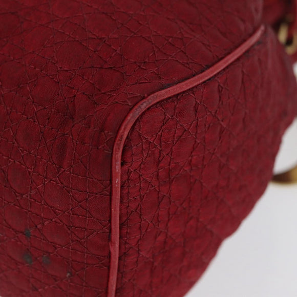 Christian Dior Canage Pouch Nylon Red Gold Auth AMZ069