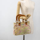 FENDI Hand Bag Canvas Multicolor Gold Auth AMZ146A-22