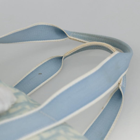 Christian Dior Trotter Canvas Boston Bag PVC Light Blue Silver Auth AMZ439