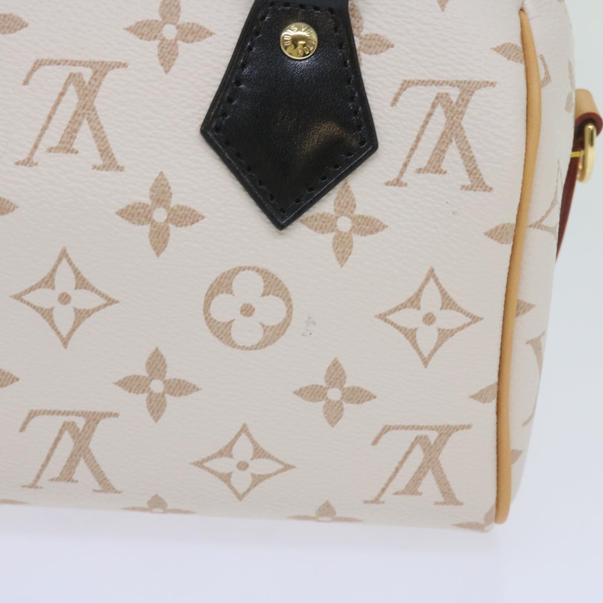 LOUIS VUITTON Monogram Dune Speedy Bandouliere 20 Bag 2way M46906 Auth ar11394S