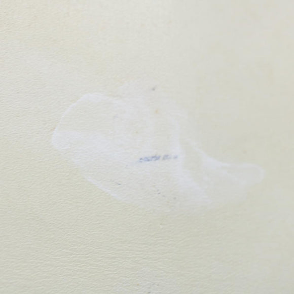 PRADA Hand Bag Leather White Auth ar11644B