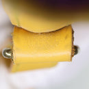 LOUIS VUITTON Epi Noe Shoulder Bag Tassili Yellow M44009 LV Auth ar11801B-12