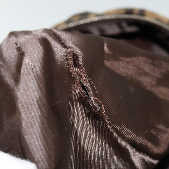 FENDI Zucca Canvas Hand Bag Black Brown Auth ar13658