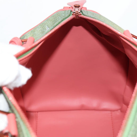 LOUIS VUITTON Masters Collection DA VINCI Speedy 30 Bag M43372 Auth ar13671SM