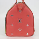 LOUIS VUITTON Masters Collection DA VINCI Speedy 30 Bag M43372 Auth ar13671SM-4