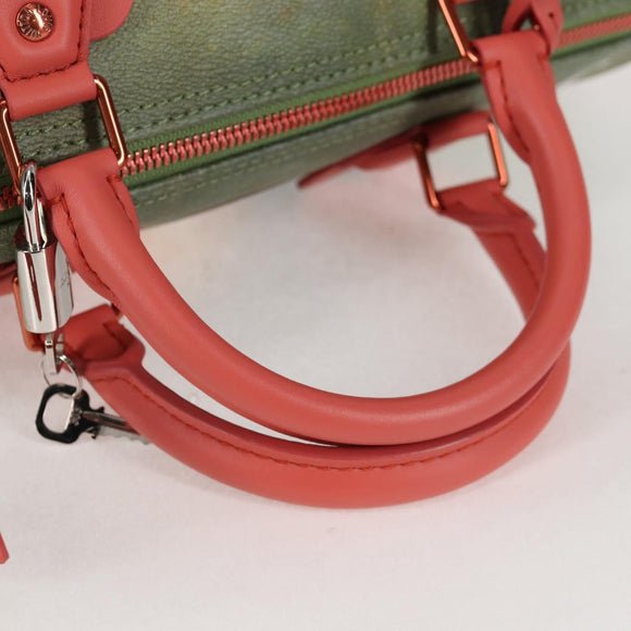 LOUIS VUITTON Masters Collection DA VINCI Speedy 30 Bag M43372 Auth ar13671SM