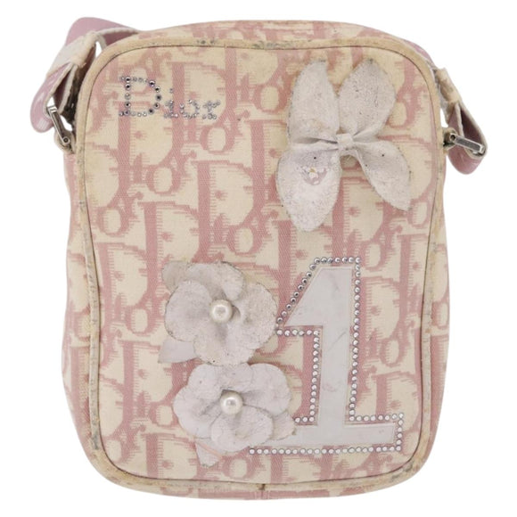Christian Dior Trotter Canvas Shoulder Bag PVC Pink Silver Auth ar14360