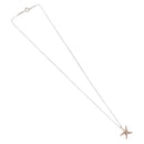 Tiffany & Co. Star Fish Necklace Ag925 Silver Auth ar14428-2