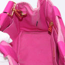 PRADA Canapa PM Hand Bag Canvas 2way Pink Gold Auth ARZ534-21
