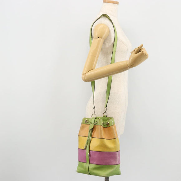 CELINE Shoulder Bag Leather Multicolor Silver Auth ARZ906