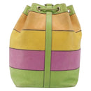 CELINE Shoulder Bag Leather Multicolor Silver Auth ARZ906-2