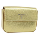PRADA Pouch Leather Gold Auth BA10959V-1