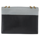 CELINE Large Flap Chain Shoulder Bag Leather Multicolor Gold Auth BA11111-2
