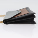 CELINE Large Flap Chain Shoulder Bag Leather Multicolor Gold Auth BA11111-4