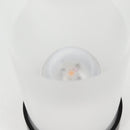 LOUIS VUITTON Lanterne By Zanellato and Bortotto PM Nomad R97254 Auth BA1118SM-11