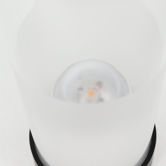 LOUIS VUITTON Lanterne By Zanellato and Bortotto PM Nomad R97254 Auth BA1118SM