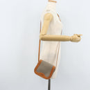 Christian Dior Shoulder Bag PVC Leather Gray Gold Auth BA11708-20