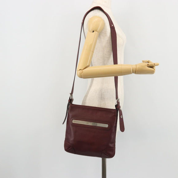 Chloe Shoulder Bag Leather Brown Auth BA12141A