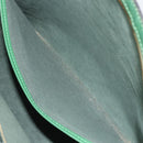 LOUIS VUITTON Epi Lussac Shoulder Bag Green M52284 LV Auth BA12273-23