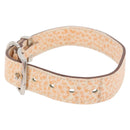 HERMES Collar Dog Leash Leather Orange Silver LV Auth BA12490V-3