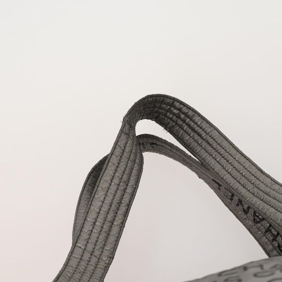 CHANEL Tote Bag Nylon 2 Set Silver Beige CC Auth BA12495