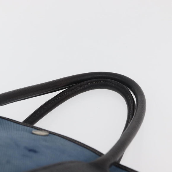 HERMES Garden Party PM Hand Bag Canvas Blue Silver Auth BA12580