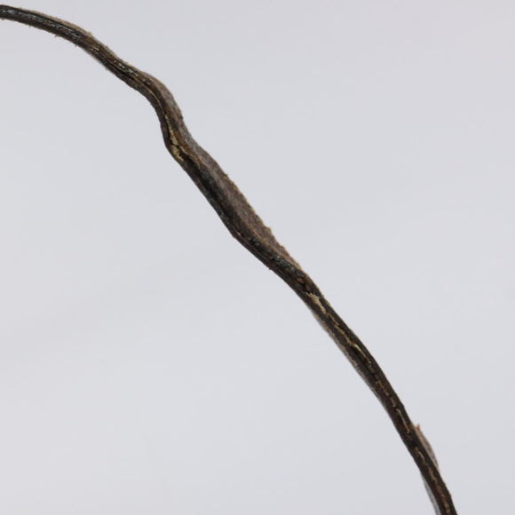 GUCCI GG Supreme Web Sherry Line Bag PVC Beige Gold 89 02 032 Auth BA1397