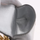 CELINE Case for AirPods Pro Earphone Case Leather Silver Gold Auth BA14434M-18