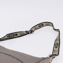 FENDI Celeria Shoulder Bag Leather Silver 8BT109 Auth BA14855-8